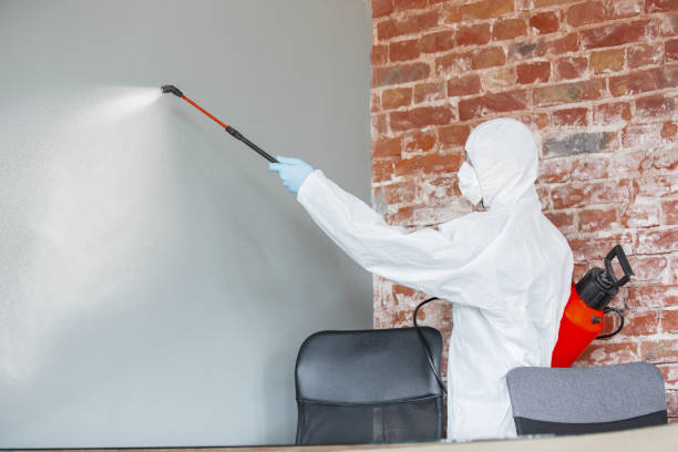Best Real Estate Mold Inspection  in Ravenswood, WV
