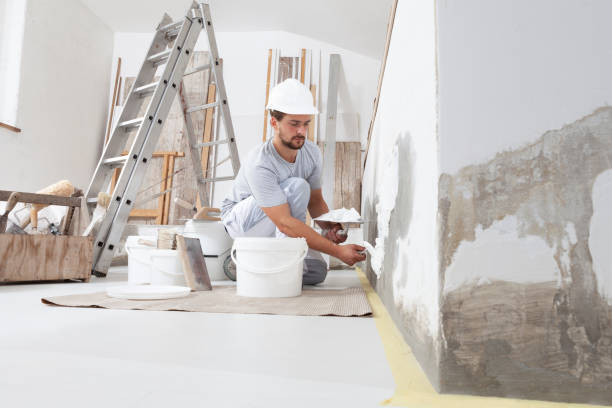 Best Post-Construction Mold Inspection  in Ravenswood, WV
