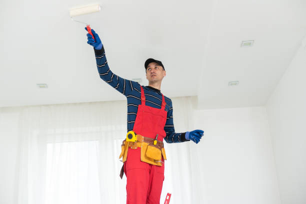 Best Crawl Space Mold Remediation  in Ravenswood, WV