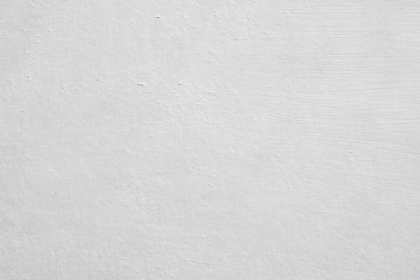 Best Mold Prevention Services  in Ravenswood, WV
