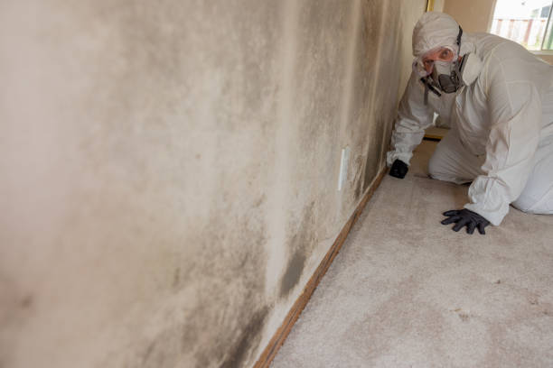 Forensic Mold Investigation in Ravenswood, WV