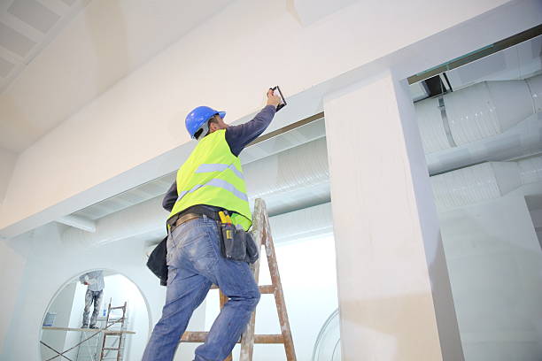 Best Dehumidification Services  in Ravenswood, WV