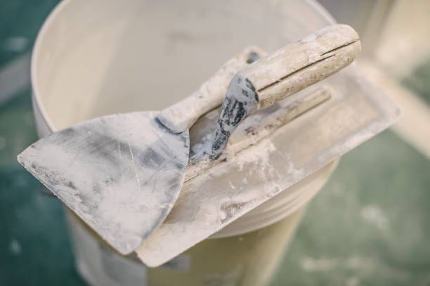 Best Mold Removal for HVAC Installations  in Ravenswood, WV